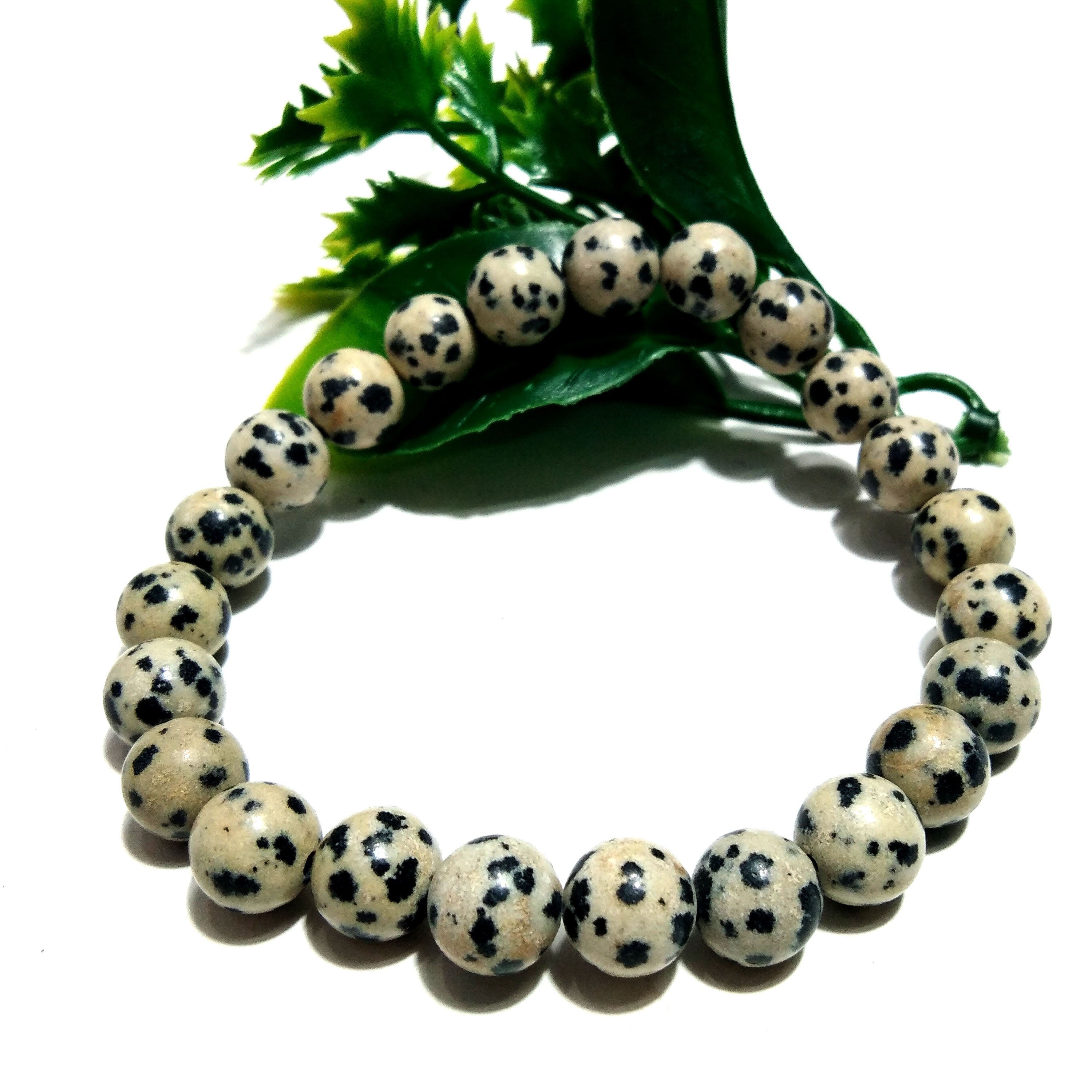 Dalmation Jasper Bracelet Beads Stone, Natural Dalmation Jasper Healing Men & Women Round Bracelet, Size 8x8 mm Gift Easter day Bracelet